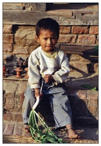 nepal 1 (Small).jpg